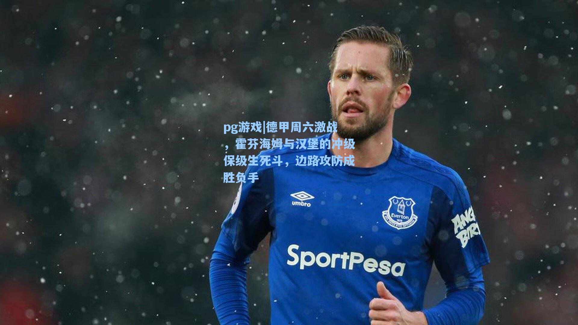 德甲周六激战，霍芬海姆与汉堡的冲级保级生死斗，边路攻防成胜负手