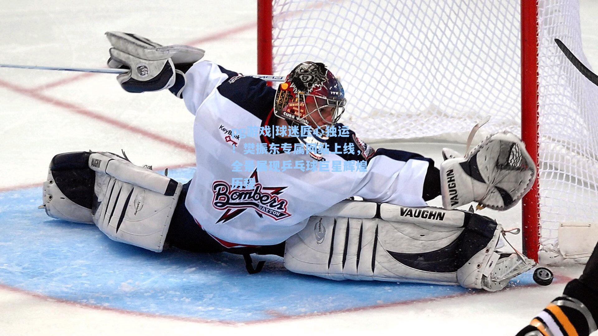 球迷匠心独运!樊振东专属网站上线,全景展现乒乓球巨星辉煌历程